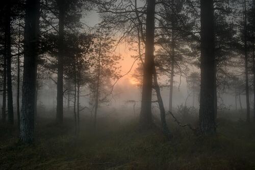 Todd HIDO - トッド・ハイド | shashasha - Photography & art in books