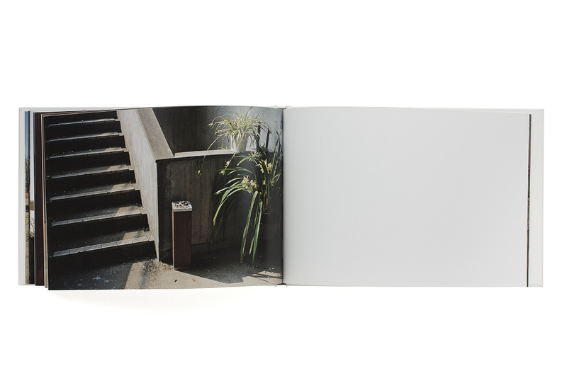 至るところで 心を集めよ 立っていよ - 清野賀子 | shashasha 写々者