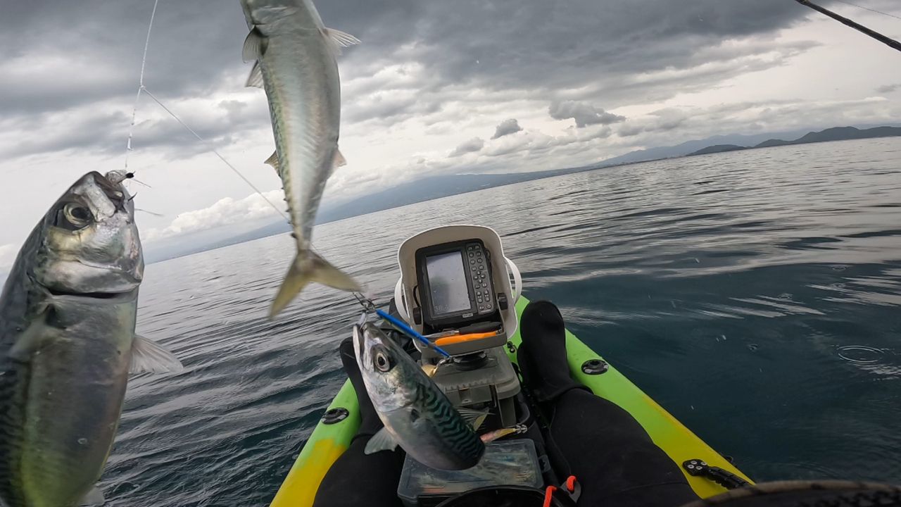 AbuGarcia オーシャンフィールド ジギング OFJC-63/180の最安値