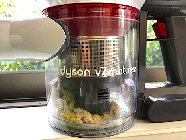 ギャーッ！こんなに大量のゴミの上に寝っ転がってたなんて…ダイソンの