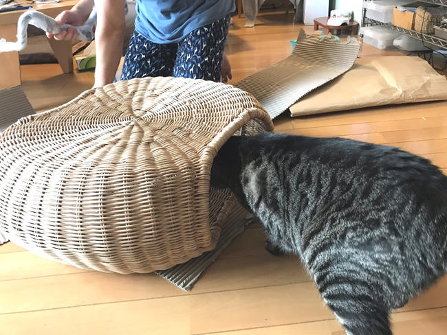 イケア発！「猫ちぐら」みたいな籐スツール「ガムレフルト」がわが家に