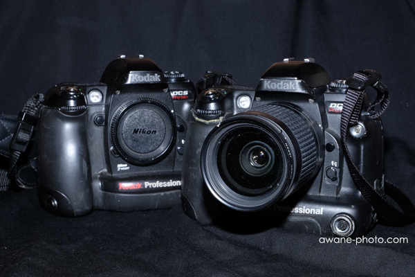 満を持しての2台目Kodak DCS Pro 14n～撮影日記