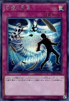 大嵐 | スーパー | ドラゴンスター | 遊戯王