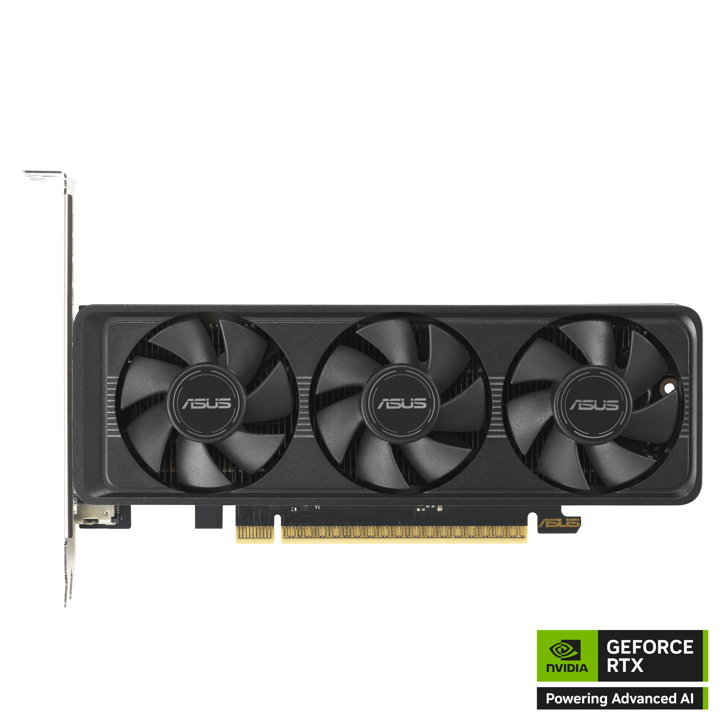 ASUS GeForce RTX™ 5060 LP BRK 8GB GDDR7 OC Edition