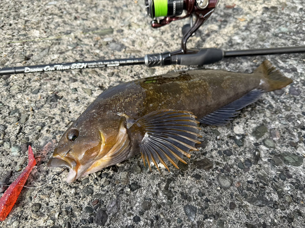 ドリームコンスリー88Hインプレッション（中村勇介） – DreemUp