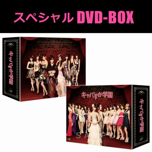 DVD】キャバすか学園 AKB48オフィシャルショップ限定商品 スペシャル