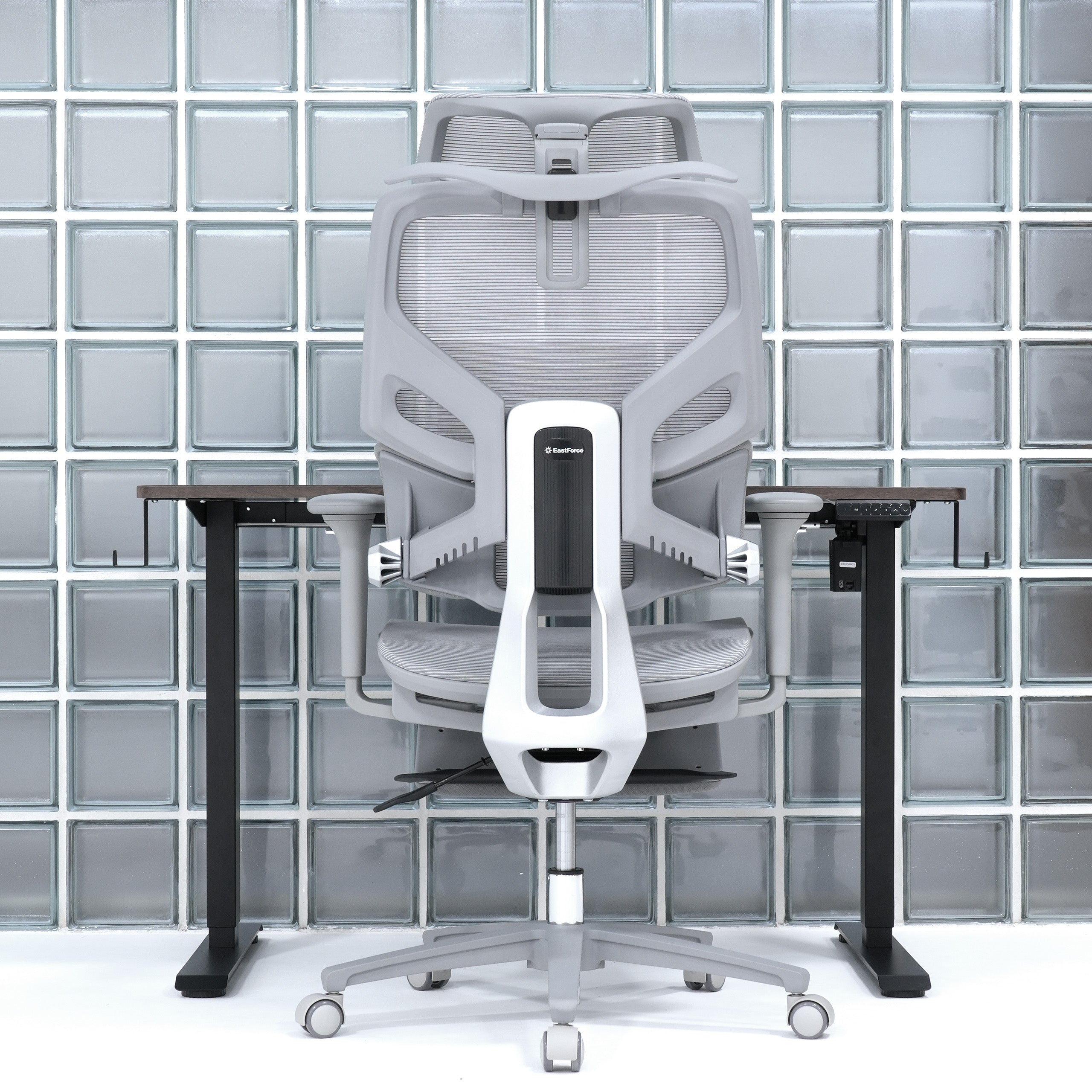 スタイラム 2.0 – EastForce 公式サイト