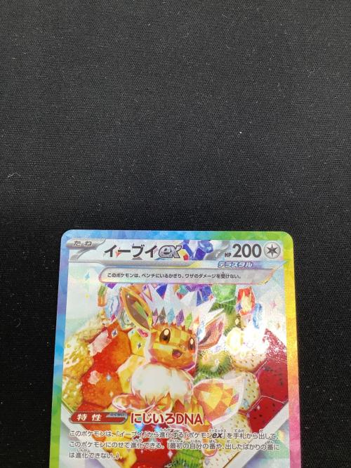 ポケモンカード イーブイex 224/187 SAR 「テラスタルフェスex