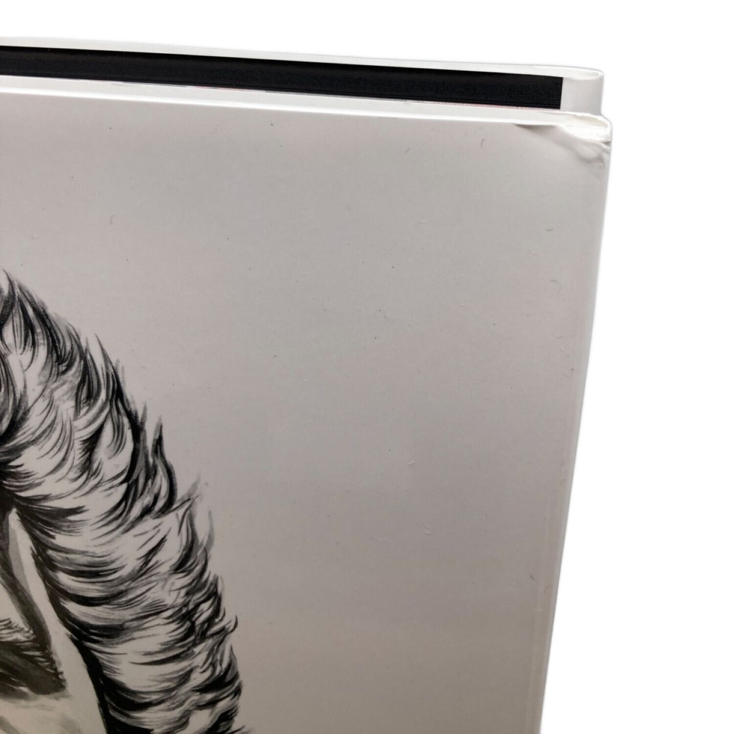 キャラクターグッズ 段ボール付き 北斗の拳 イラスト集 究極-ULTIMATE