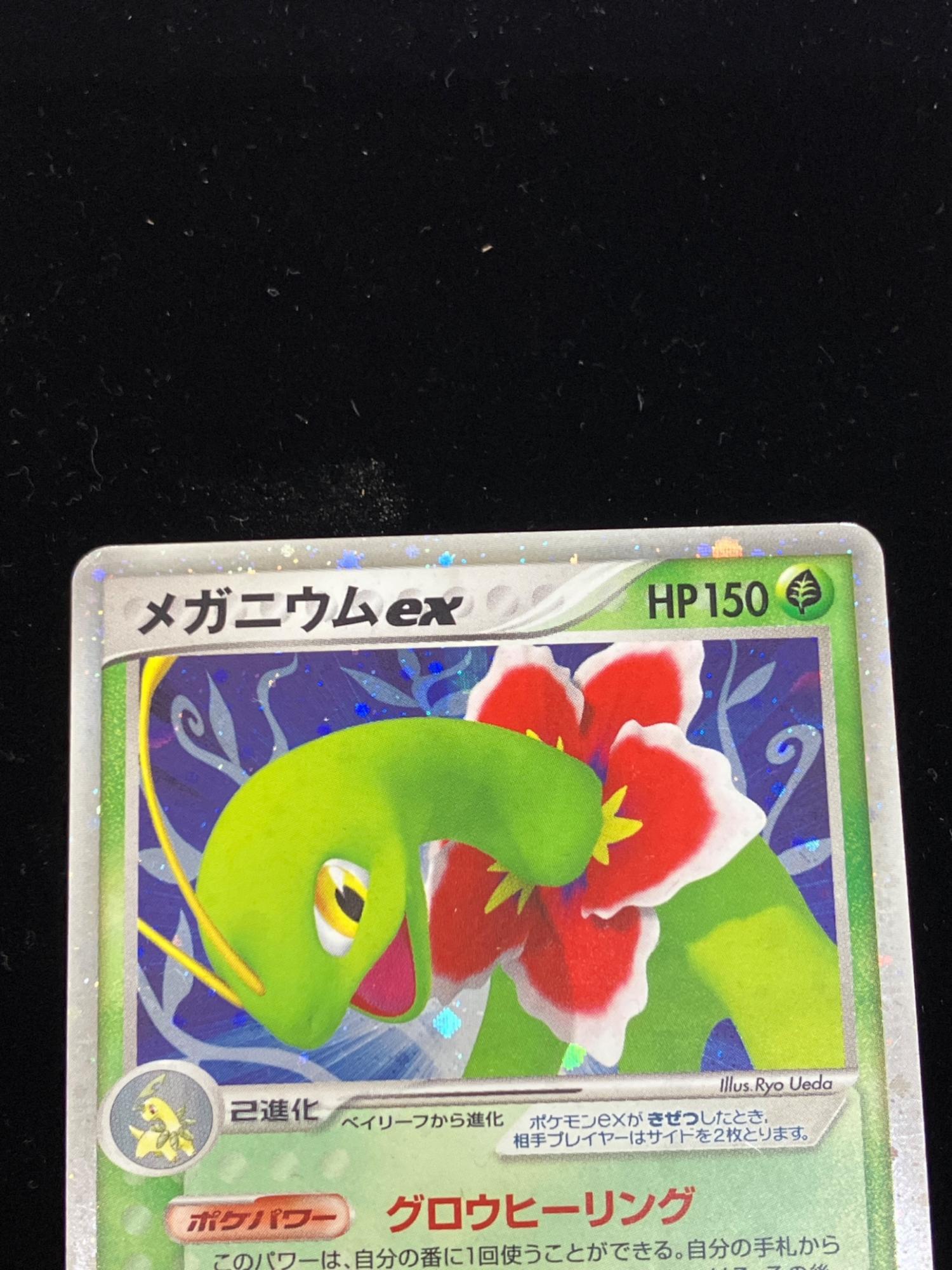 メガニウムex - ポケモンカード 003/016｜トレファクONLINE