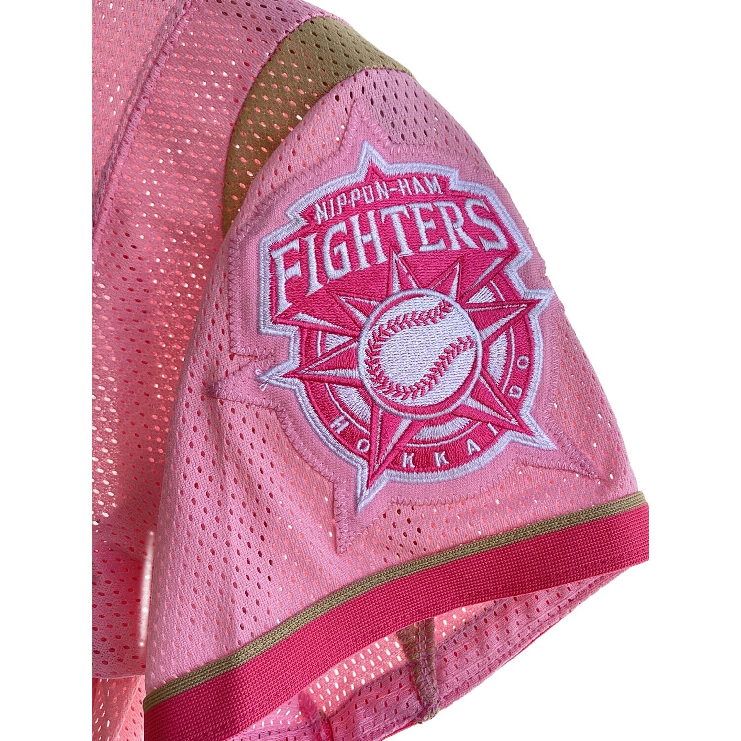 北海道日本ハムファイターズ (ホッカイドウニッポンハムファイターズ