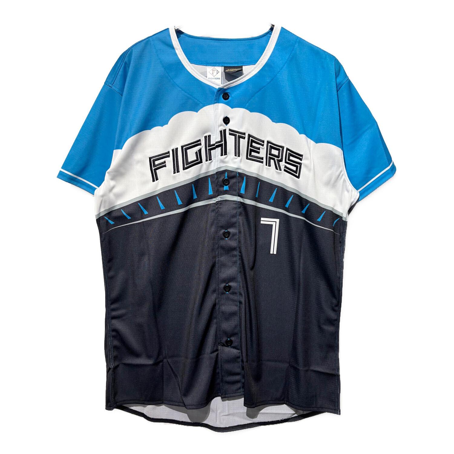 北海道日本ハムファイターズ (ホッカイドウニッポンハムファイターズ