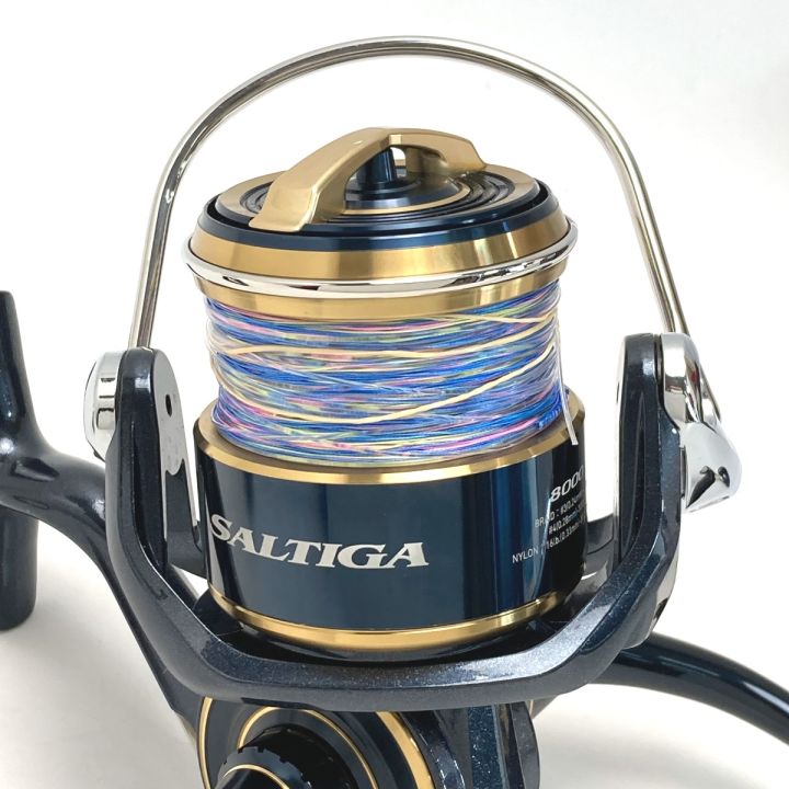 DAIWA ダイワ 20 ソルティガ 8000-P 00065001 スピニングリール 箱付き
