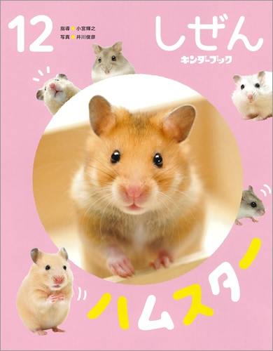 フレーベル館オンラインショップ｜しぜんキンダーブック2023年12月号