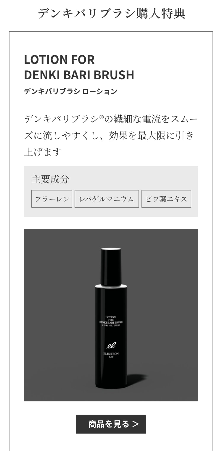 エレクトロン］デンキバリブラシ(R)2.0＋ボディ (電気バリブラシ