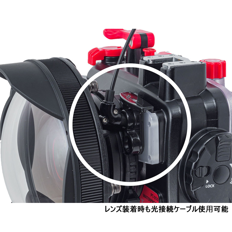 mic21ダイビングショップ[ INON ] XDマウント for M67ポート: 水中撮影