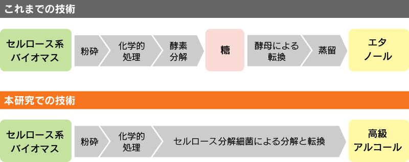 細菌を活用して未利用な植物資源からバイオ燃料を生産する | 環境報告