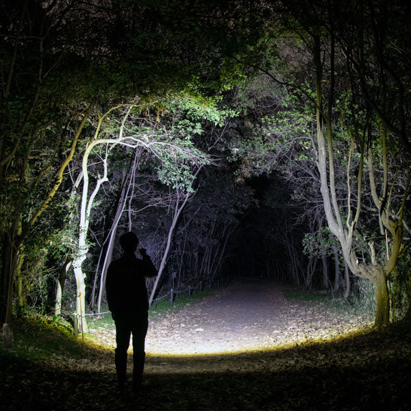 ジェントス LEDハンディライト Gシリーズ GF-214RG 1100ルーメン USB