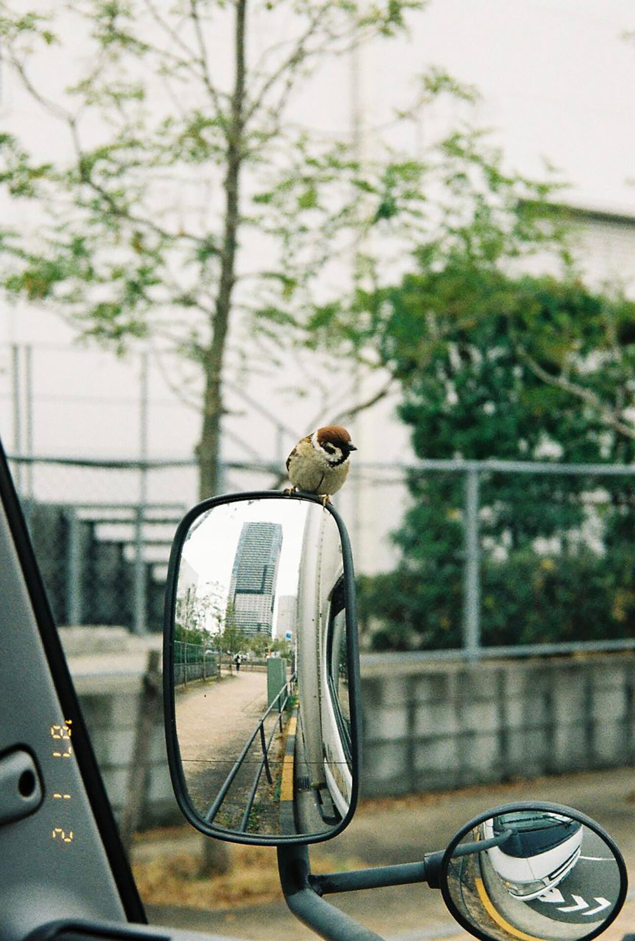 作例レビュー】Canon Autoboy ZOOM Super #わたしのカメラ vol.163