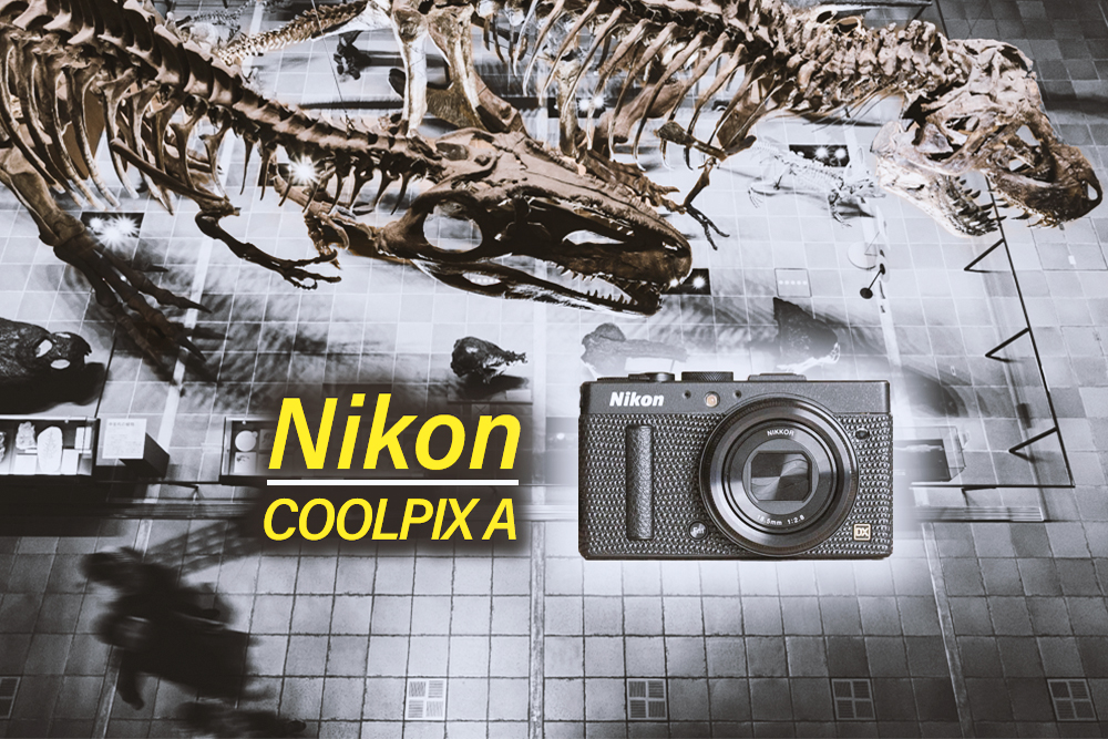 Nikon/ニコンCOOLPIX A。同社唯一APS-C搭載、幻の高級コンデジ。作例と