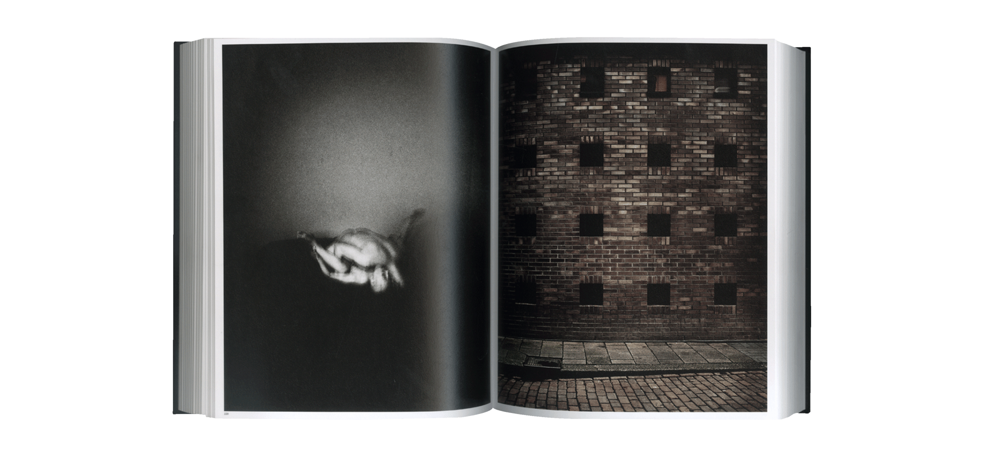 Anticorps - Atelier EXB