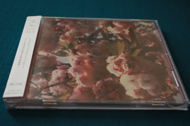 Camino de Flores | El Búho