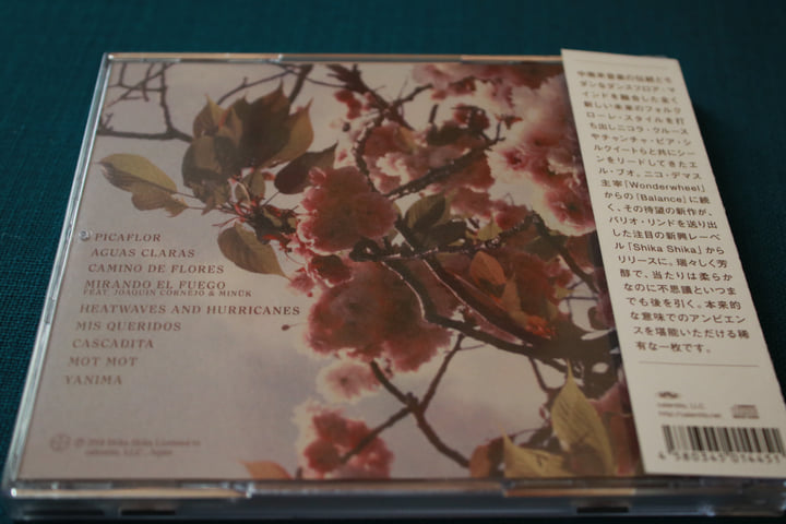 Camino de Flores | El Búho