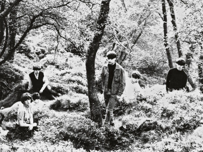 Stardust | The Sea Urchins