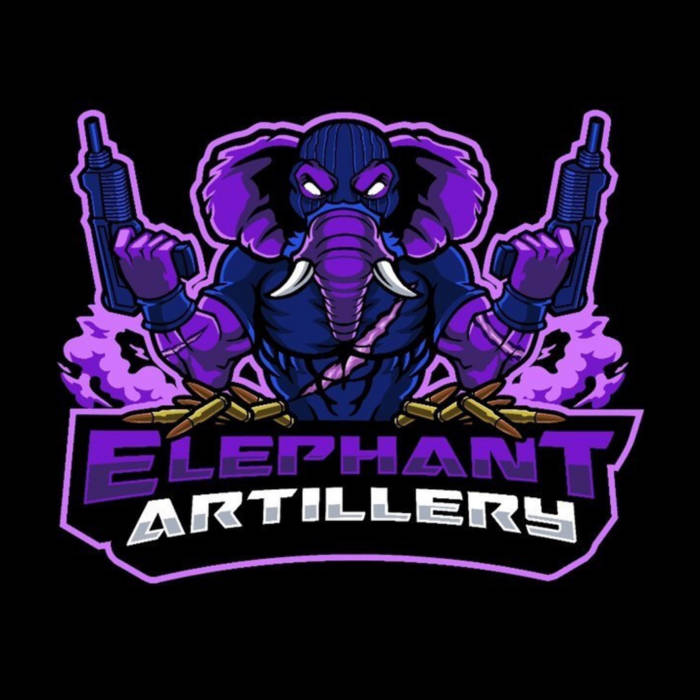 Flair 4 The Gold | Mickey Diamond | Elephant Artillery