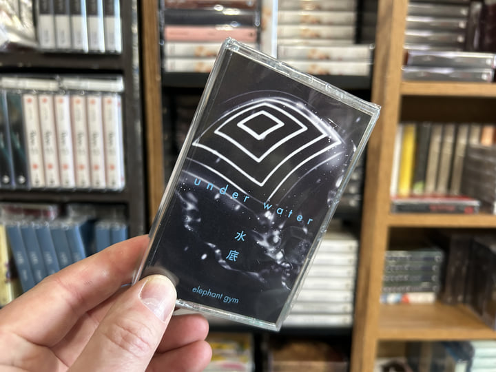 Underwater | Elephant Gym