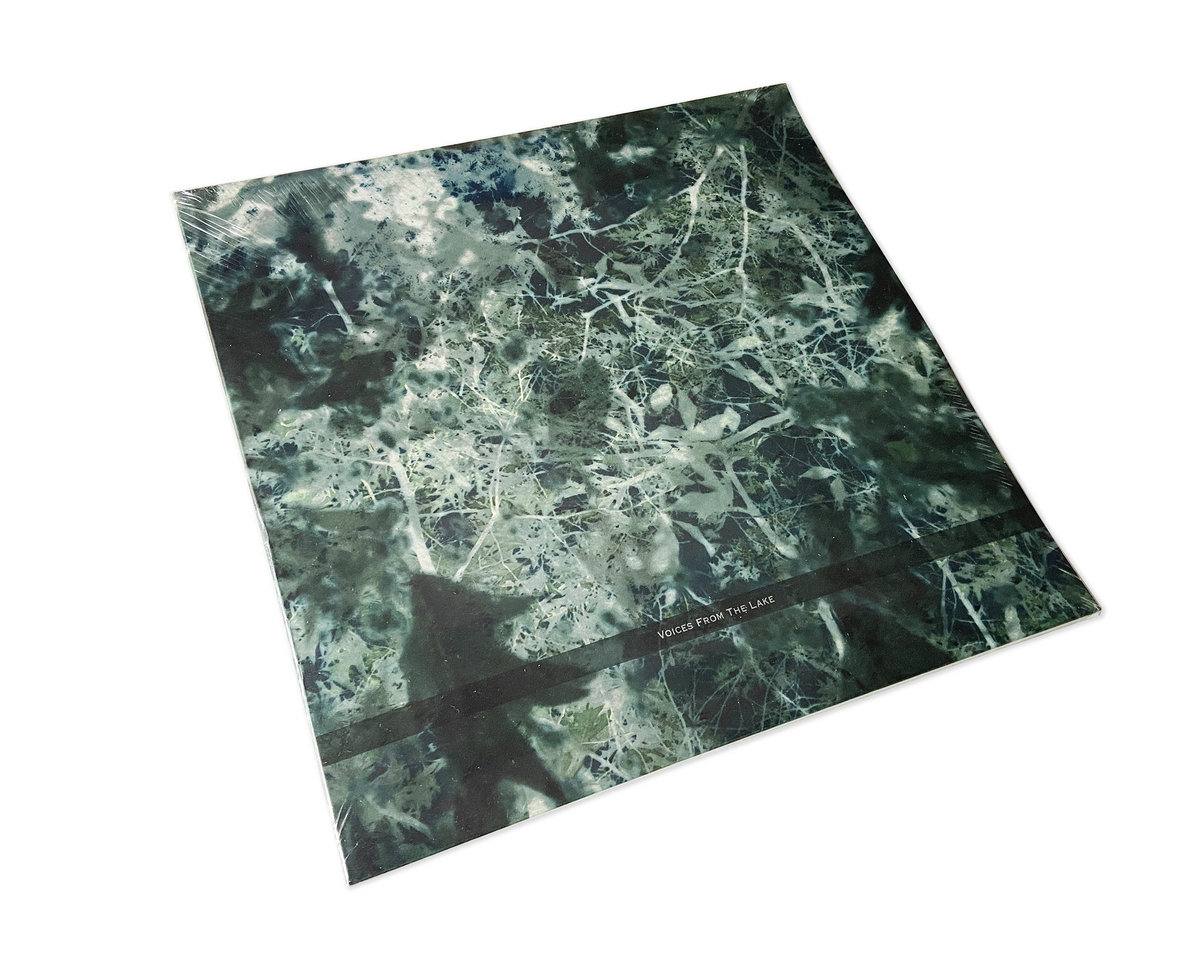 Voices From The Lake | Voices From The Lake