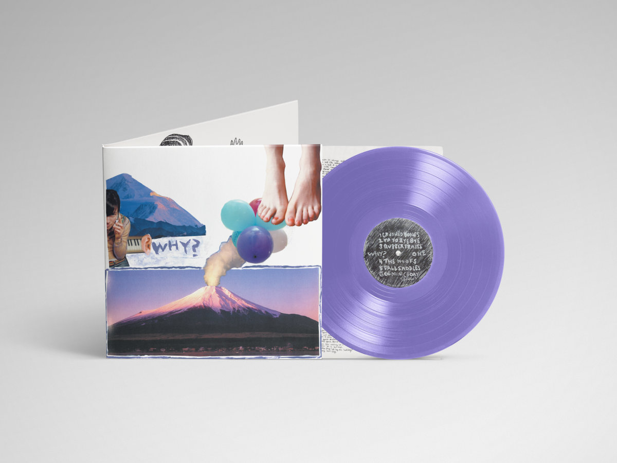 Elephant Eyelash | WHY?