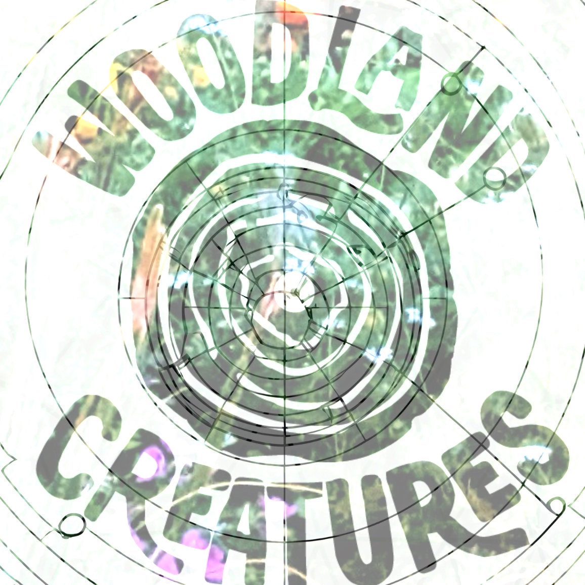 Music | Woodland Creatures