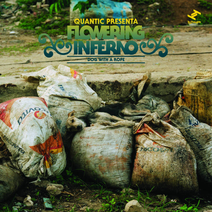 Dog With A Rope | Quantic Presenta Flowering Inferno | Quantic