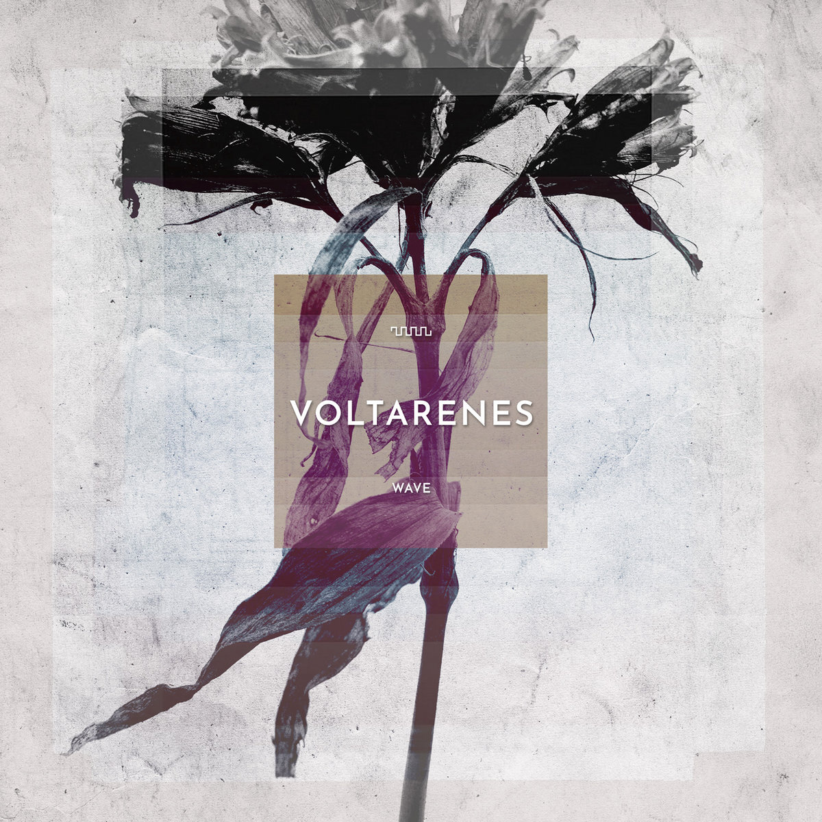 wave | voltarenes | ant-zen