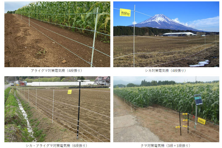 初心者向け】これで失敗しない！電気柵の基礎知識と押さえるべき