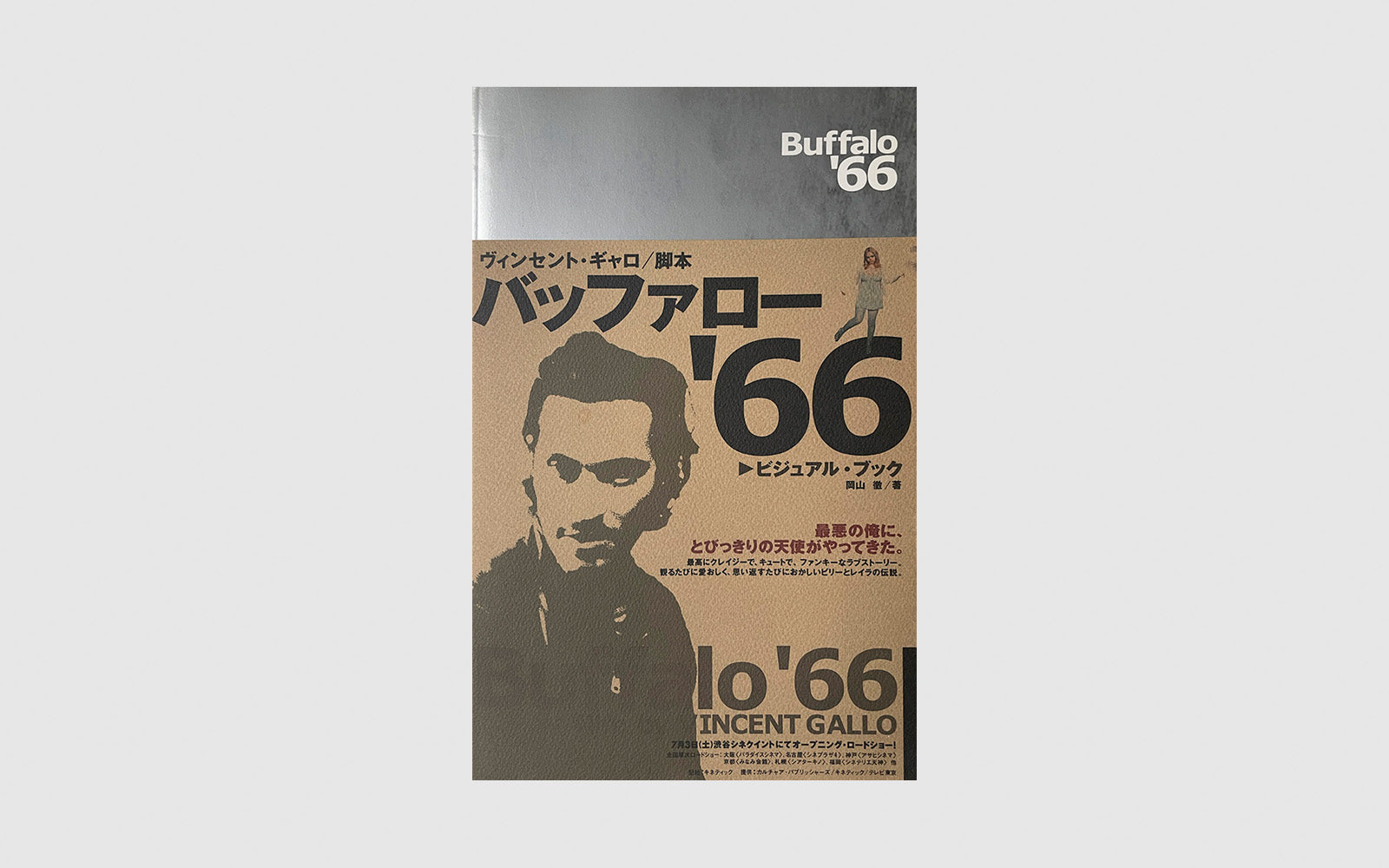 FAW [Buffalo '66, Vincent Gallo - FAW Books]