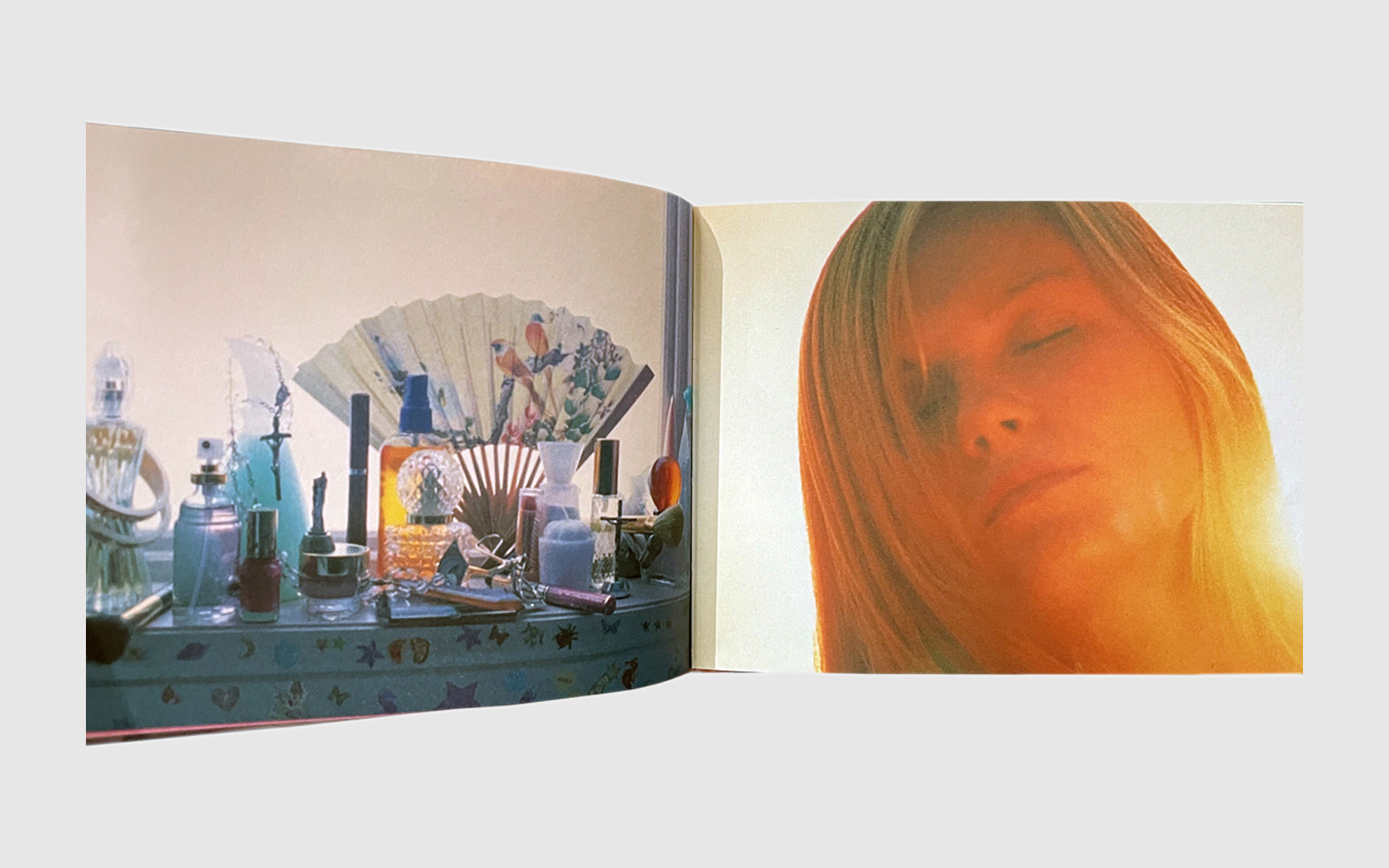 FAW [The Virgin Suicides, Sofia Coppola - FAW Books]
