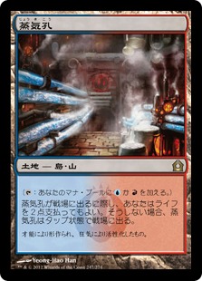 蒸気孔/Steam Vents》[RTR] 土地R | 日本最大級 MTG通販サイト「晴れる屋」