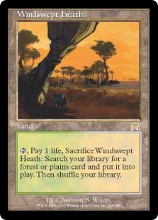 吹きさらしの荒野/Windswept Heath》[ONS] 土地R | 日本最大級 MTG通販