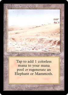 Elephant Graveyard》[ARN] 土地R | 日本最大級 MTG通販サイト「晴れる屋」