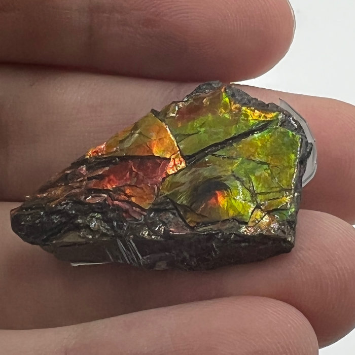 アンモライト かけら 欠片 インディアンのお守り パワーストーン