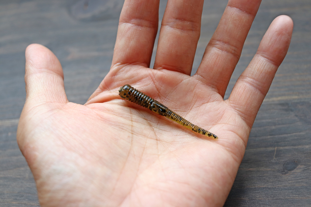 Z-Man「マイクロ ワームZ / Micro WormZ」 | NEST BLOG / ネスト ブログ