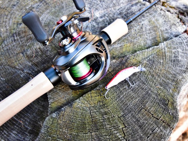 ベイトフィネスってどんな釣り方なの？メリットやおすすめのリール