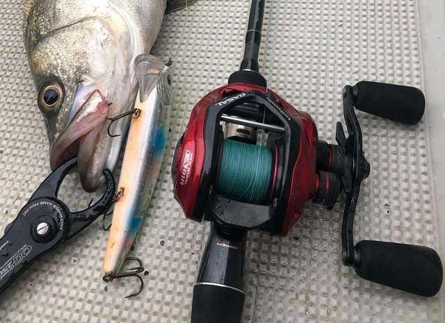 コスパ最強のベイトリール！バサルとワイドバサルの違いとは？それぞれ