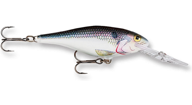 ラパラのルアー特集！バス釣りやシーバスゲームに欠かせない超定番アイテム