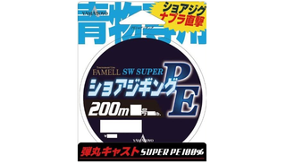 ショアスパルタンでシイラや青物を釣りたい！ダイワの人気ショアジギ
