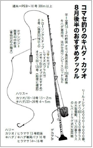 コマセ釣り＆イワシエサ キハダ・カツオ必釣ガイド【前編】