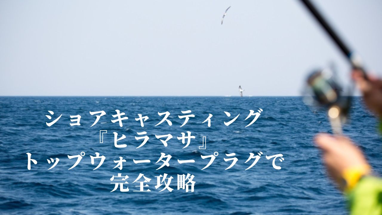 ショアキャスティング『ヒラマサ』トップウォータープラグで完全攻略