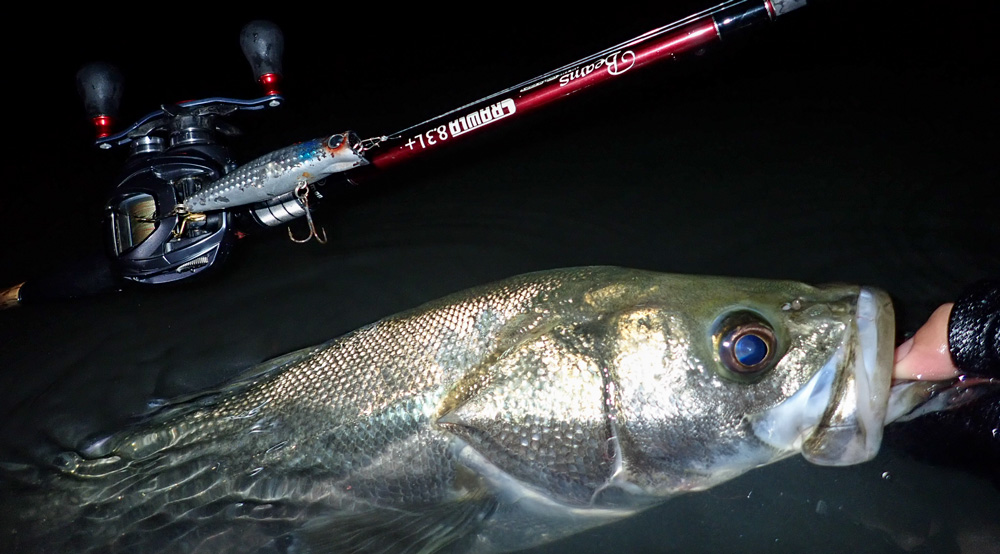 秋のランカー祭り到来！ランカーキラーBeamsCRAWLA8.3L+ - Fishman